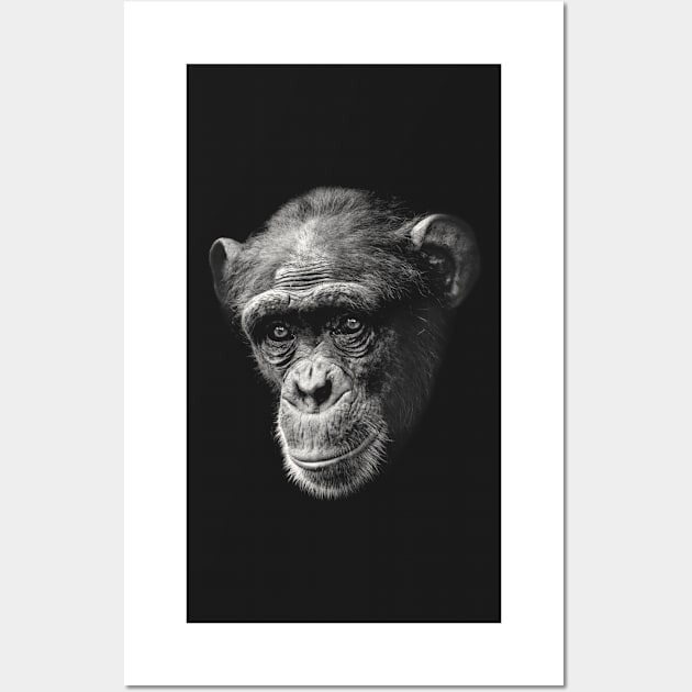 Chimpanzee with Sad Eyes Wall Art by scotch